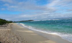 Constance Le Chaland