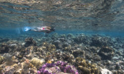 Eri Maldives